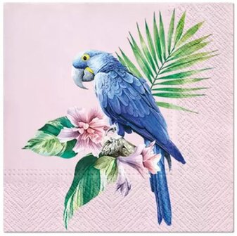 Exotic Parrot Napkin Set 33 x 33 cm