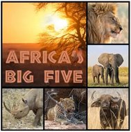 Africa Big Five Napkin Set 33 x 33 cm